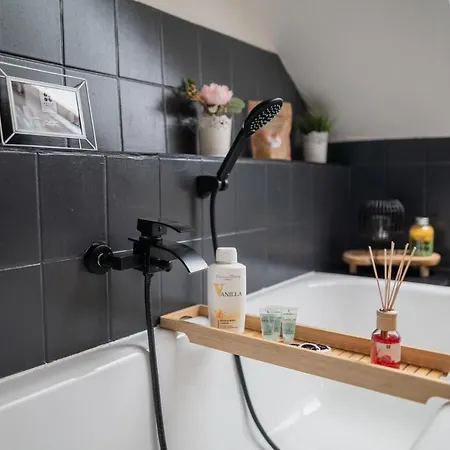 Style Apartment I Klimaanlage I Wlan I Kueche I Smart-Tv Magdebourg Extérieur photo